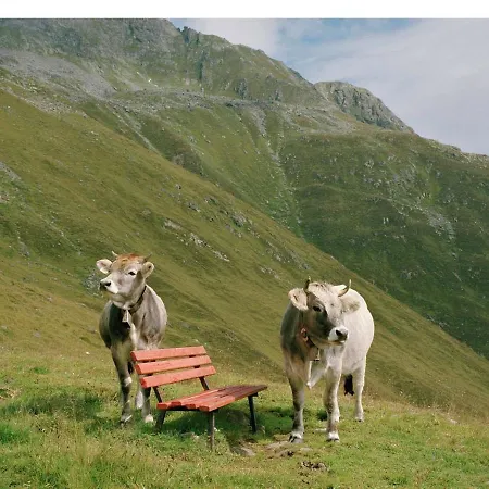 Spacious In Near Ski Area *